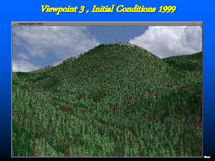 Viewpoint 3 , Initial Conditions 1999 (Berry) 