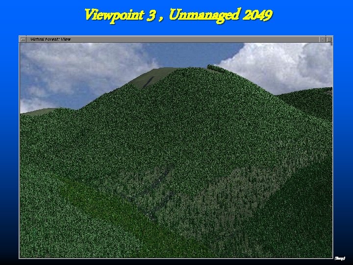 Viewpoint 3 , Unmanaged 2049 (Berry) 