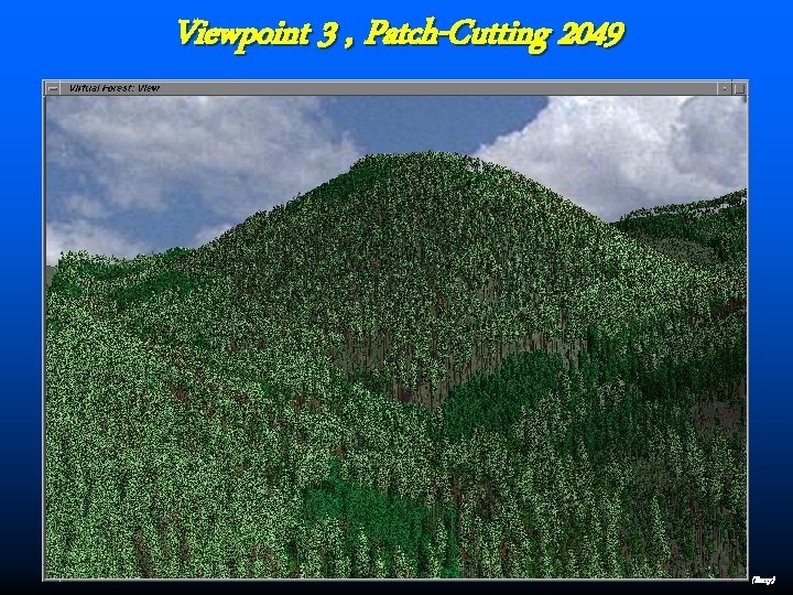 Viewpoint 3 , Patch-Cutting 2049 (Berry) 