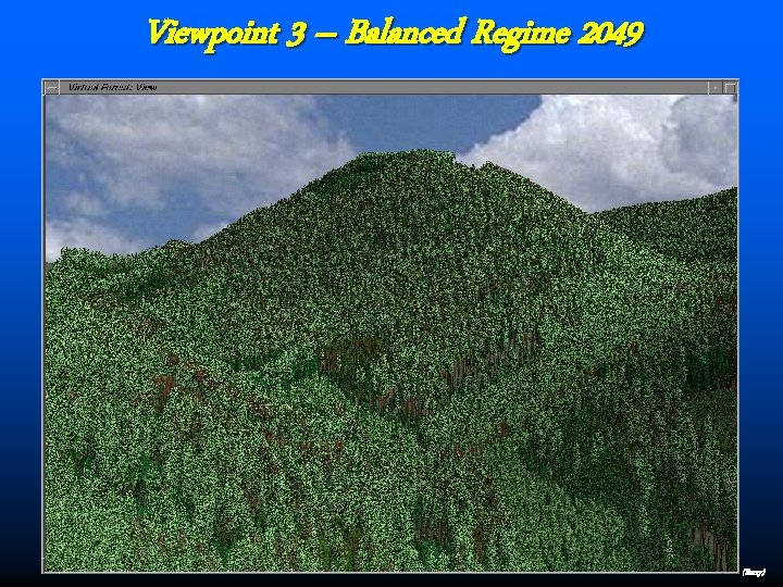 Viewpoint 3 – Balanced Regime 2049 (Berry) 