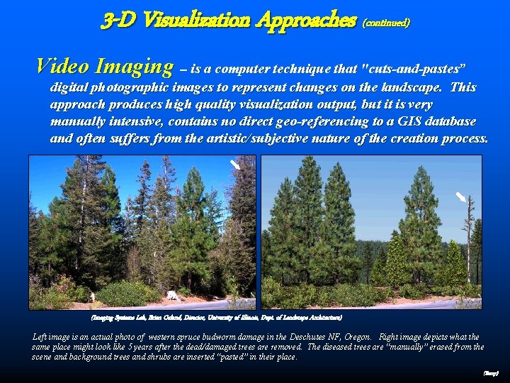 3 -D Visualization Approaches (continued) Video Imaging -- is a computer technique that "cuts-and-pastes”
