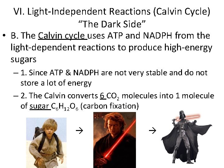 VI. Light-Independent Reactions (Calvin Cycle) “The Dark Side” • B. The Calvin cycle uses