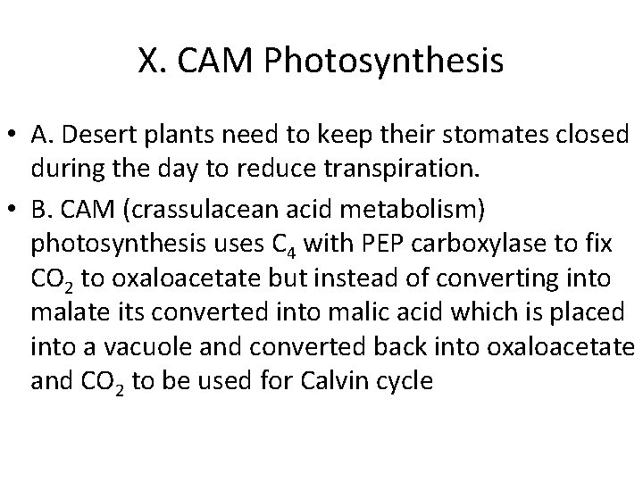 X. CAM Photosynthesis • A. Desert plants need to keep their stomates closed during