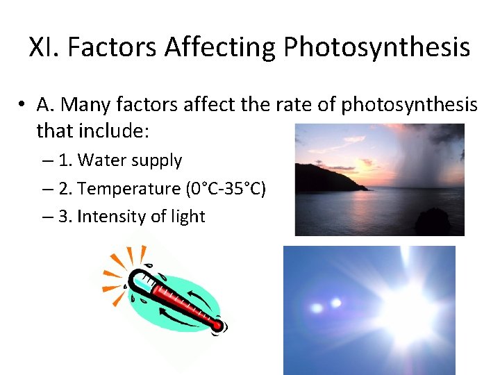 XI. Factors Affecting Photosynthesis • A. Many factors affect the rate of photosynthesis that