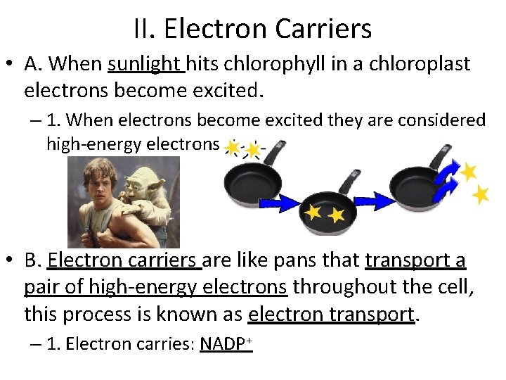 II. Electron Carriers • A. When sunlight hits chlorophyll in a chloroplast electrons become