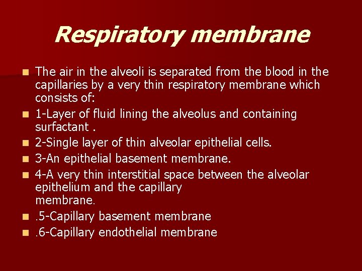 Respiratory membrane n n n n The air in the alveoli is separated from
