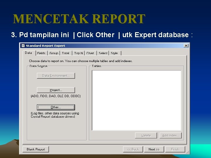 MENCETAK REPORT 3. Pd tampilan ini | Click Other | utk Expert database :