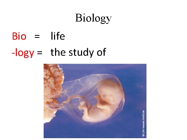 Biology Bio = life -logy = the study of 