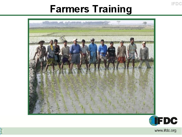 Farmers Training IFDC 