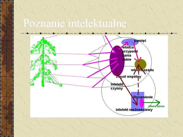 Poznanie intelektualne 46 