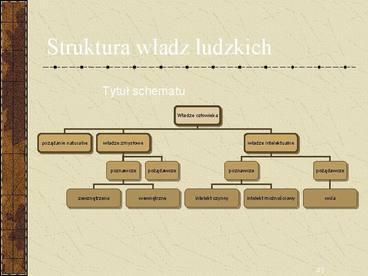 Struktura władz ludzkich Tytuł schematu Władze człowieka poządanie naturalne władze zmysłowe poznawcze zewznętrzene władze