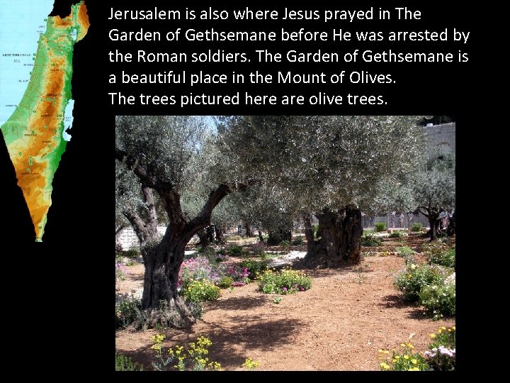 Jerusalem is also where Jesus prayed in The Garden of Gethsemane before He was