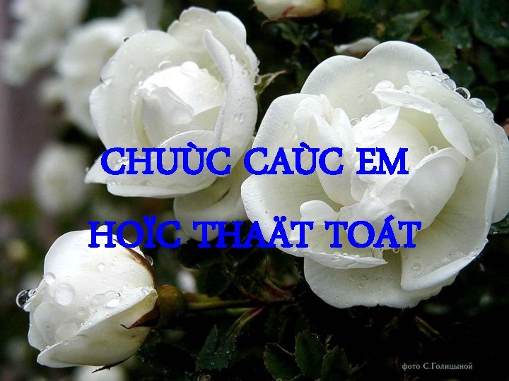 CHUÙC CAÙC EM HOÏC THAÄT TOÁT 