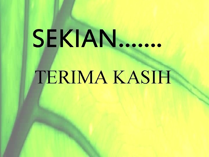 SEKIAN……. TERIMA KASIH 