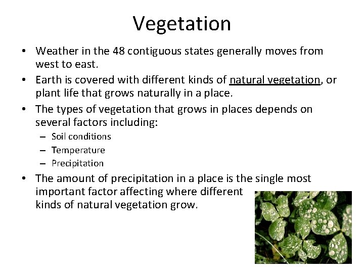 Vegetation • Weather in the 48 contiguous states generally moves from west to east.