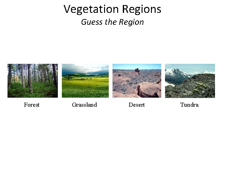 Vegetation Regions Guess the Region Forest Grassland Desert Tundra 