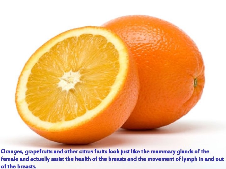 Oranges, grapefruits and other citrus fruits look just like the mammary glands of the