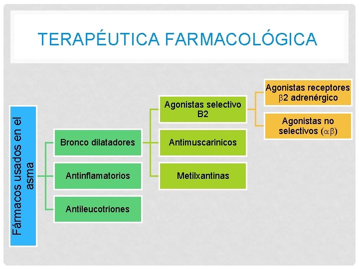 Fármacos usados en el asma TERAPÉUTICA FARMACOLÓGICA Agonistas selectivo B 2 Bronco dilatadores Antimuscarinicos