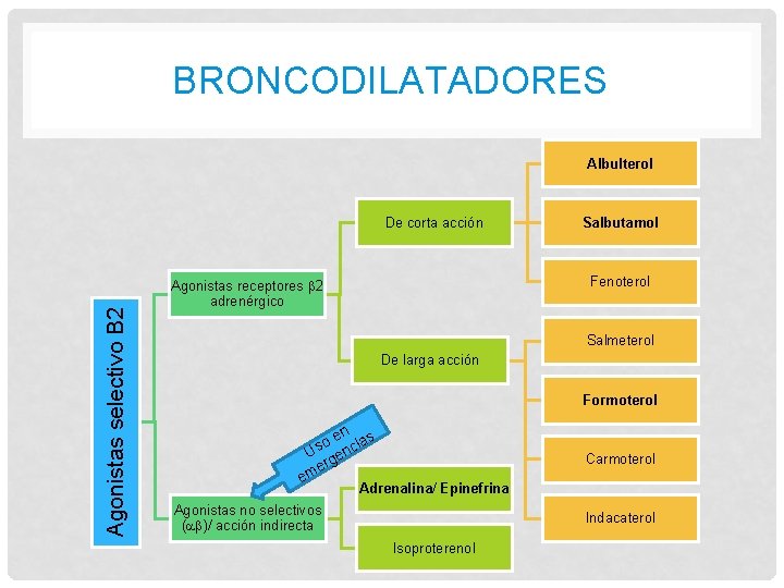 BRONCODILATADORES Albulterol Agonistas selectivo B 2 De corta acción Salbutamol Fenoterol Agonistas receptores 2