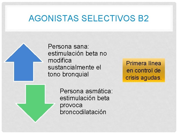 AGONISTAS SELECTIVOS B 2 Persona sana: estimulación beta no modifica sustancialmente el tono bronquial