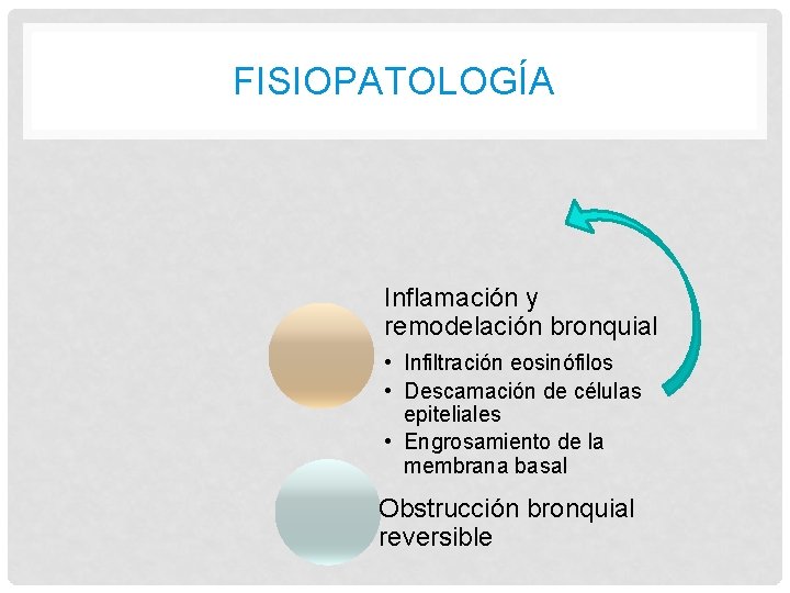 FISIOPATOLOGÍA Inflamación y remodelación bronquial • Infiltración eosinófilos • Descamación de células epiteliales •