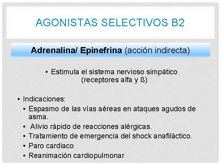 AGONISTAS SELECTIVOS B 2 Adrenalina/ Epinefrina (acción indirecta) • Estimula el sistema nervioso simpático