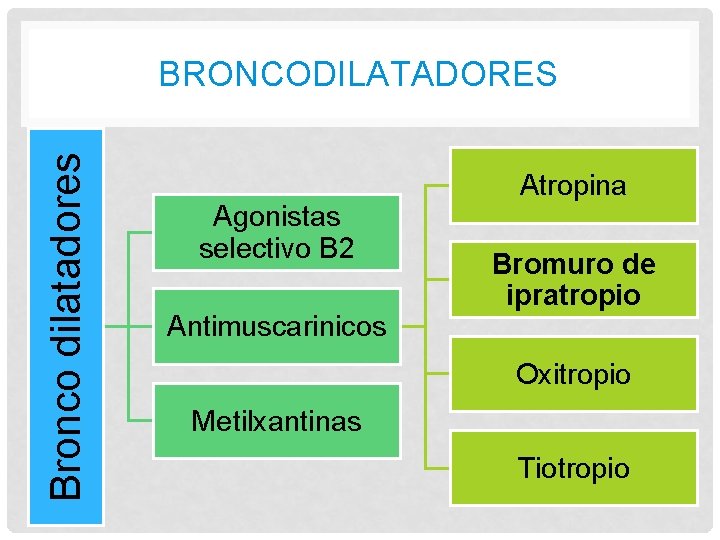 Bronco dilatadores BRONCODILATADORES Agonistas selectivo B 2 Antimuscarinicos Atropina Bromuro de ipratropio Oxitropio Metilxantinas