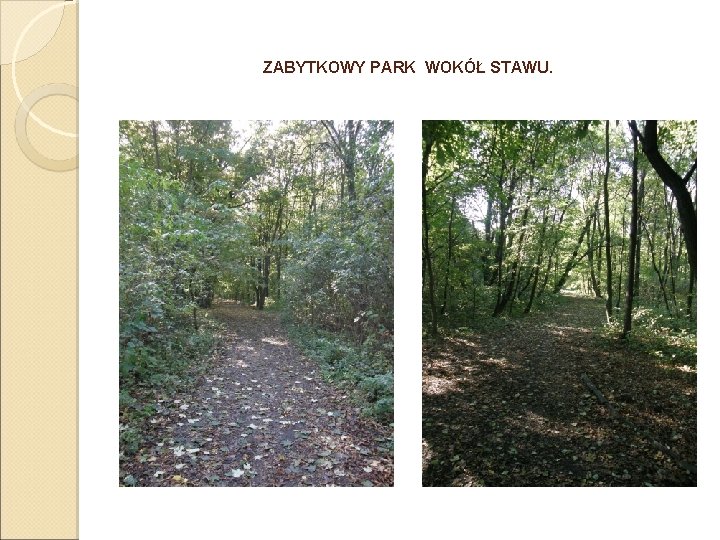 ZABYTKOWY PARK WOKÓŁ STAWU. 