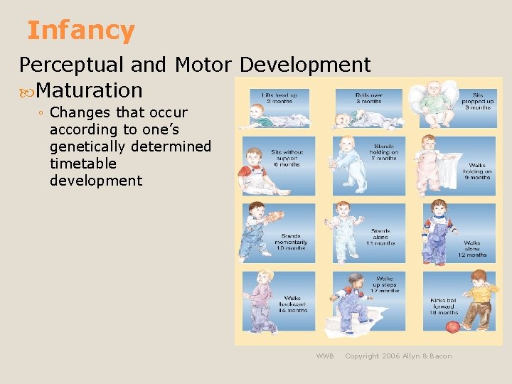 Infancy Perceptual and Motor Development Maturation ◦ Changes that occur according to one’s genetically