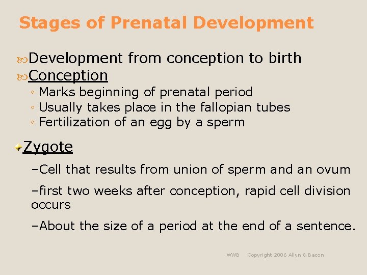 Stages of Prenatal Development from conception to birth Conception ◦ Marks beginning of prenatal