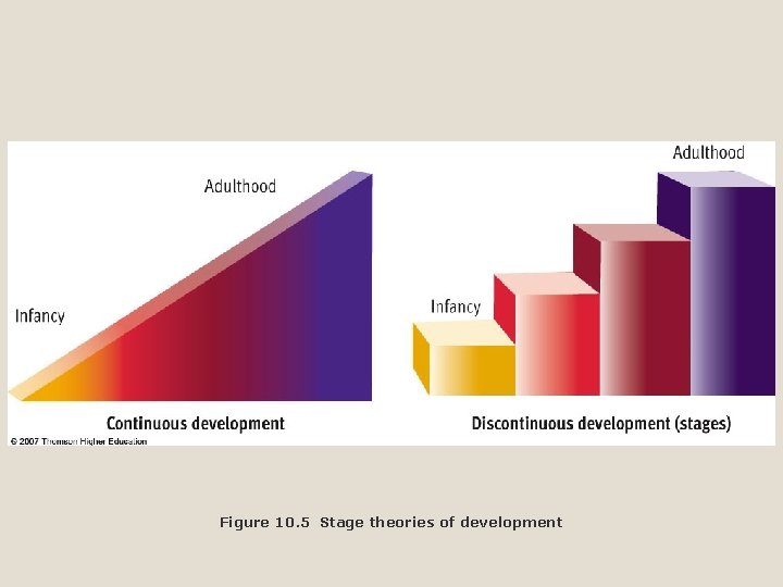 Figure 10. 5 Stage theories of development 