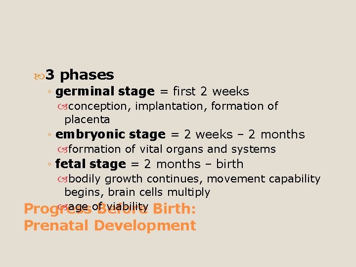  3 phases ◦ germinal stage = first 2 weeks conception, implantation, formation of