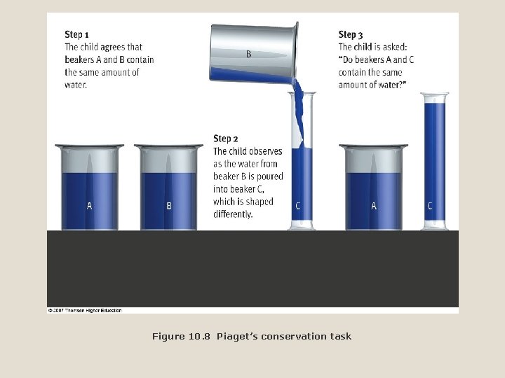 Figure 10. 8 Piaget’s conservation task 