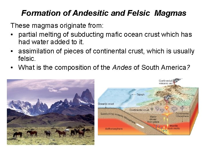 Formation of Andesitic and Felsic Magmas These magmas originate from: • partial melting of