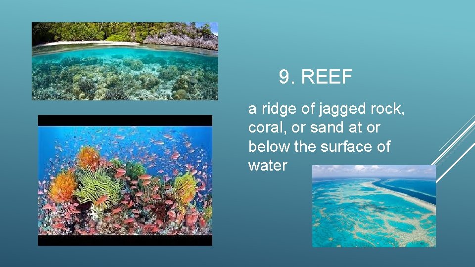 9. REEF a ridge of jagged rock, coral, or sand at or below the