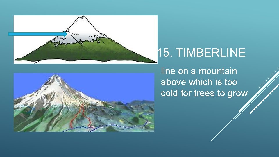 15. TIMBERLINE line on a mountain above which is too cold for trees to