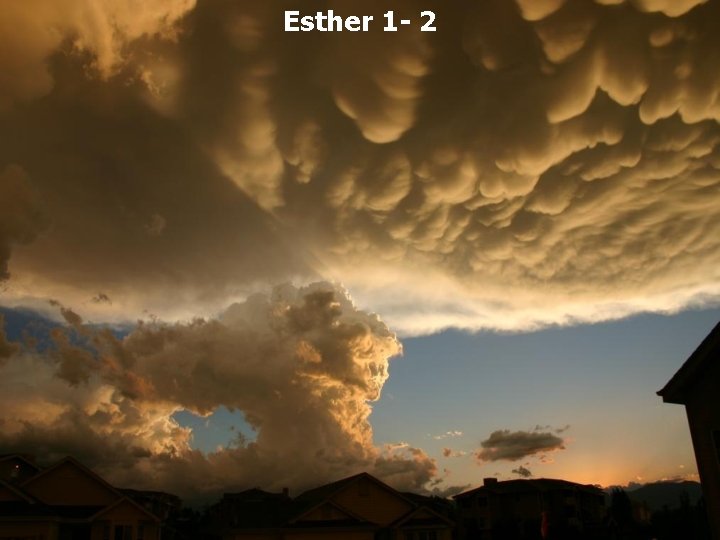 Esther 1 - 2 