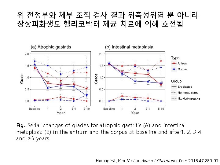 위 전정부와 체부 조직 검사 결과 위축성위염 뿐 아니라 장상피화생도 헬리코박터 제균 치료에 의해