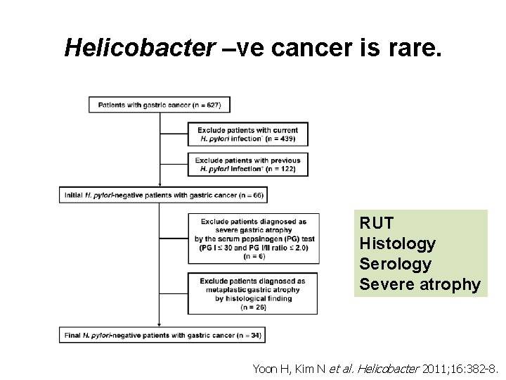 Helicobacter –ve cancer is rare. RUT Histology Serology Severe atrophy Yoon H, Kim N