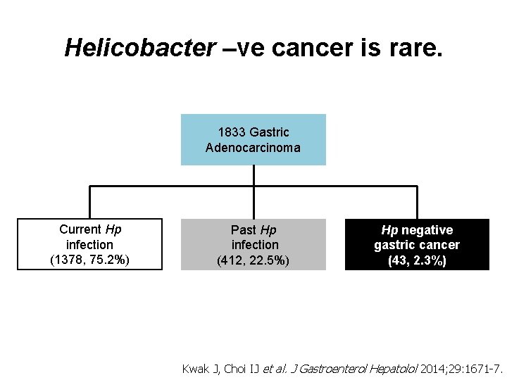 Helicobacter –ve cancer is rare. 1833 Gastric Adenocarcinoma Current Hp infection (1378, 75. 2%)