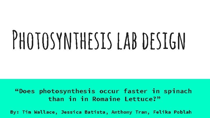 Photosynthesis lab design “Does photosynthesis occur faster in spinach than in in Romaine Lettuce?