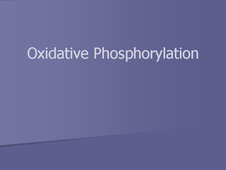 Oxidative Phosphorylation 
