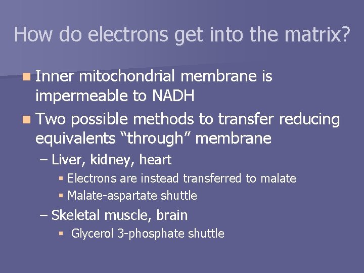 How do electrons get into the matrix? n Inner mitochondrial membrane is impermeable to