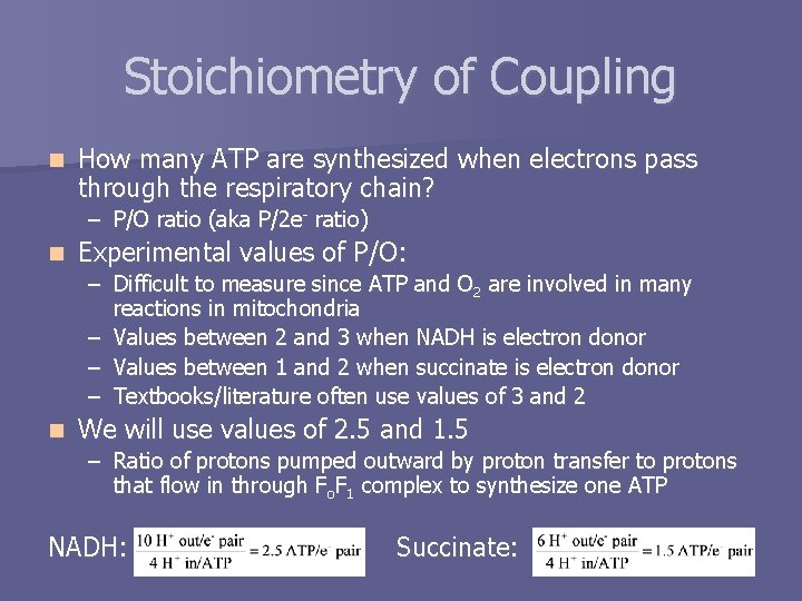 Stoichiometry of Coupling n How many ATP are synthesized when electrons pass through the