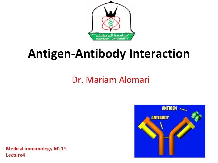 Antigen-Antibody Interaction Dr. Mariam Alomari Medical immunology M 215 Lecture 4 