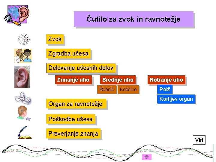 Čutilo za zvok in ravnotežje Zvok Zgradba ušesa Delovanje ušesnih delov Zunanje uho Srednje