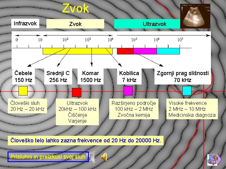 Zvok Infrazvok Čebele 150 Hz Človeški sluh 20 Hz – 20 k. Hz Zvok