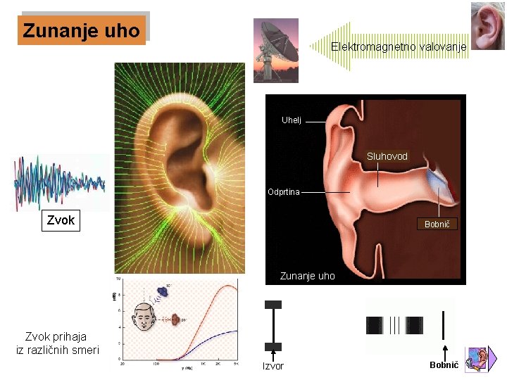 Zunanje uho Elektromagnetno valovanje Uhelj Sluhovod Odprtina Zvok Bobnič Zunanje uho Zvok prihaja iz