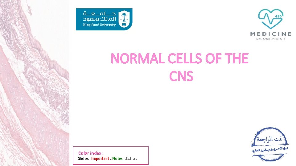 NORMAL CELLS OF THE CNS Color index: Slides. . Important. . Notes. . Extra.