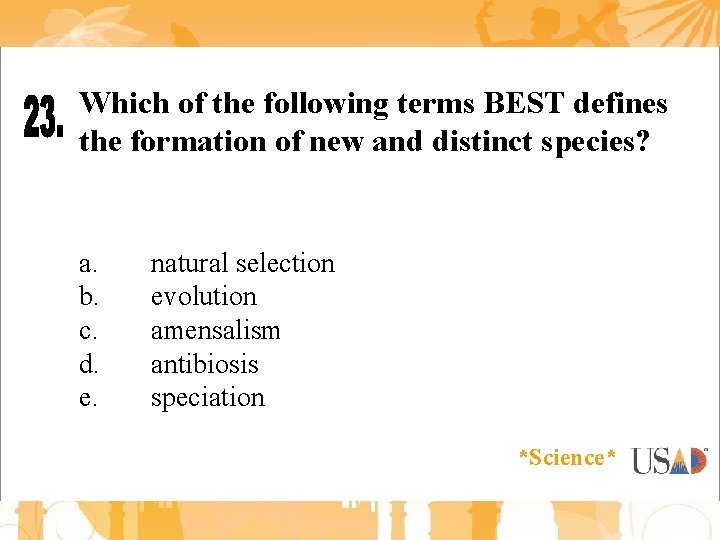 Which of the following terms BEST defines the formation of new and distinct species?